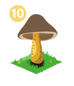 icone représentant un champignon
