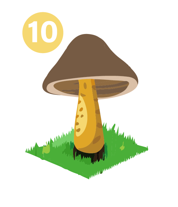 icone représentant un champignon